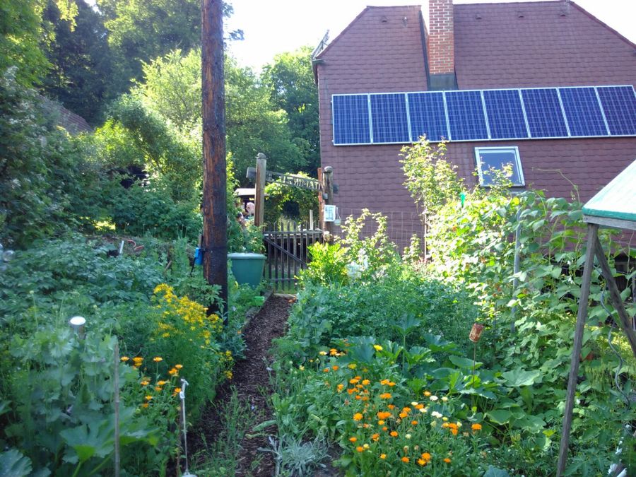 findyourreposee's tweet photo. "Energieoase"

Ein energieautarkes Paradies mitten im steirischen Vulkanland. Eine große Streuobstwiese, Sonnenterrasse, Badeterrasse und viel Wander und Radwege in der Umgebung....

#suedsteiermark #vulkanland #steiermark https://t.co/TswXiRiFkS