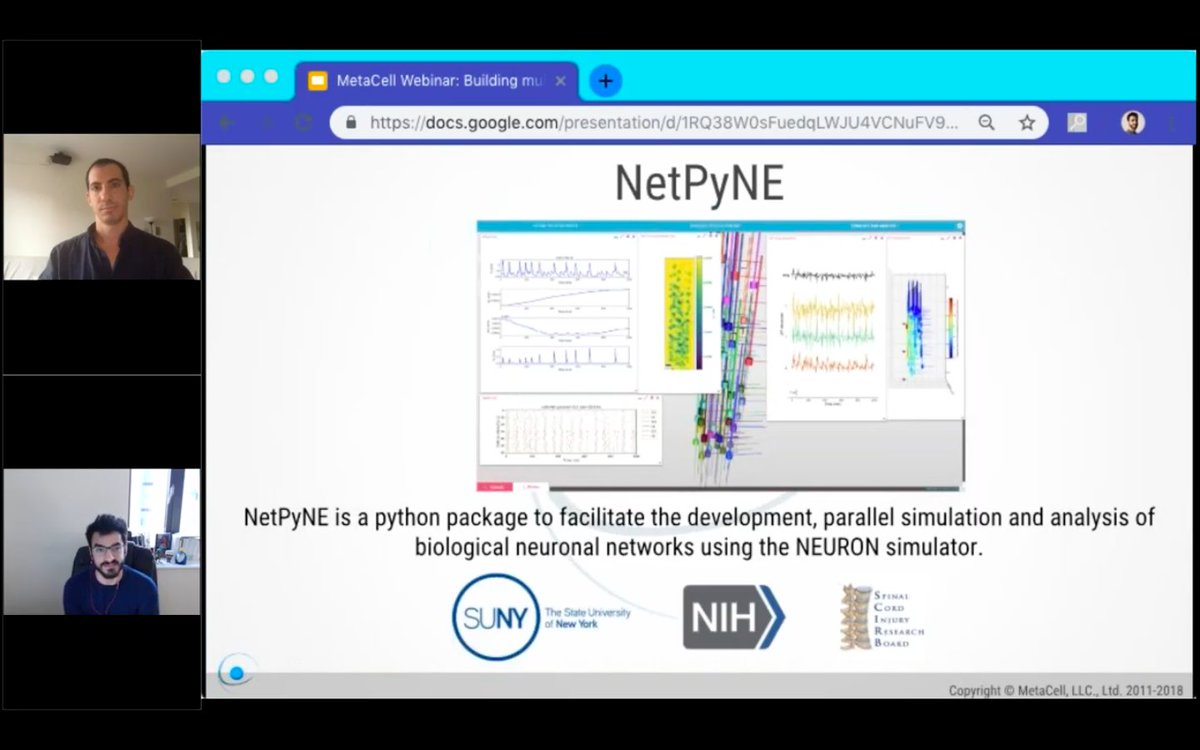 MetaCell's tweet photo. How do you build #multiscale #brain #models? Salvador Durá-Bernal, Ph.D., Research Assistant Professor at @SUNY Downstate Medical Center, shows you how in this #webinar by MetaCell. Watch the recording here 👉 https://t.co/FdjW0TbXkv 👈 #neuroscience #NetPyNE #NEURON #Python https://t.co/4k7s3PITgl