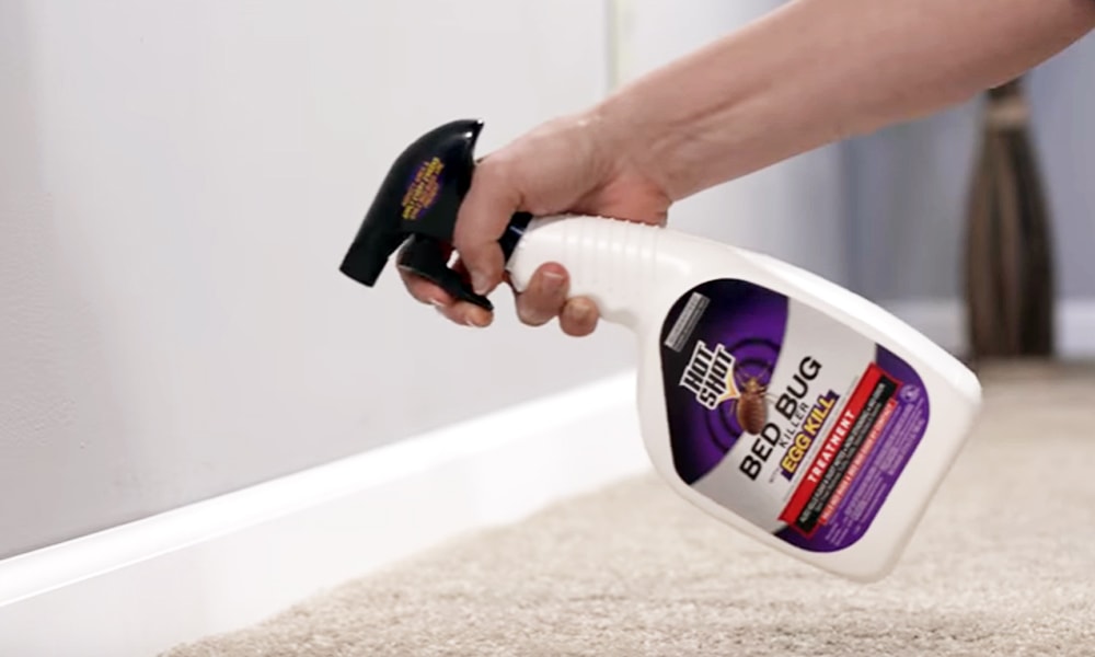 If you are looking for any ventless air conditioner, you can see the buying guide and top best ventless air conditioner reviews. Check it out! 👉 bit.ly/bstbugspray
#bug #bugspray #home #repellent #follow #FolloForFolloBack #followback #followme #HomeImprovement #homedecor