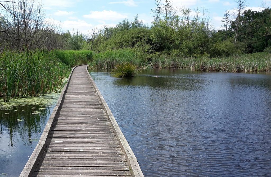 Life coaching could help if you are feeling stuck in life.  Feel free to DM to chat about how we could work together.  buff.ly/2TNJ03Q  #selfesteem #anxiety