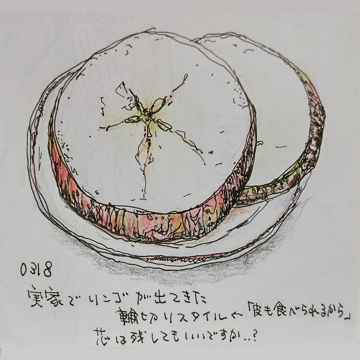 「皮も食べなきゃ意味がない」とも言っていたさ。

#りんごの切り方 #悪くなかった #万年筆ラクガキ #色鉛筆 #fruitillustration #pensketch #colorpencil