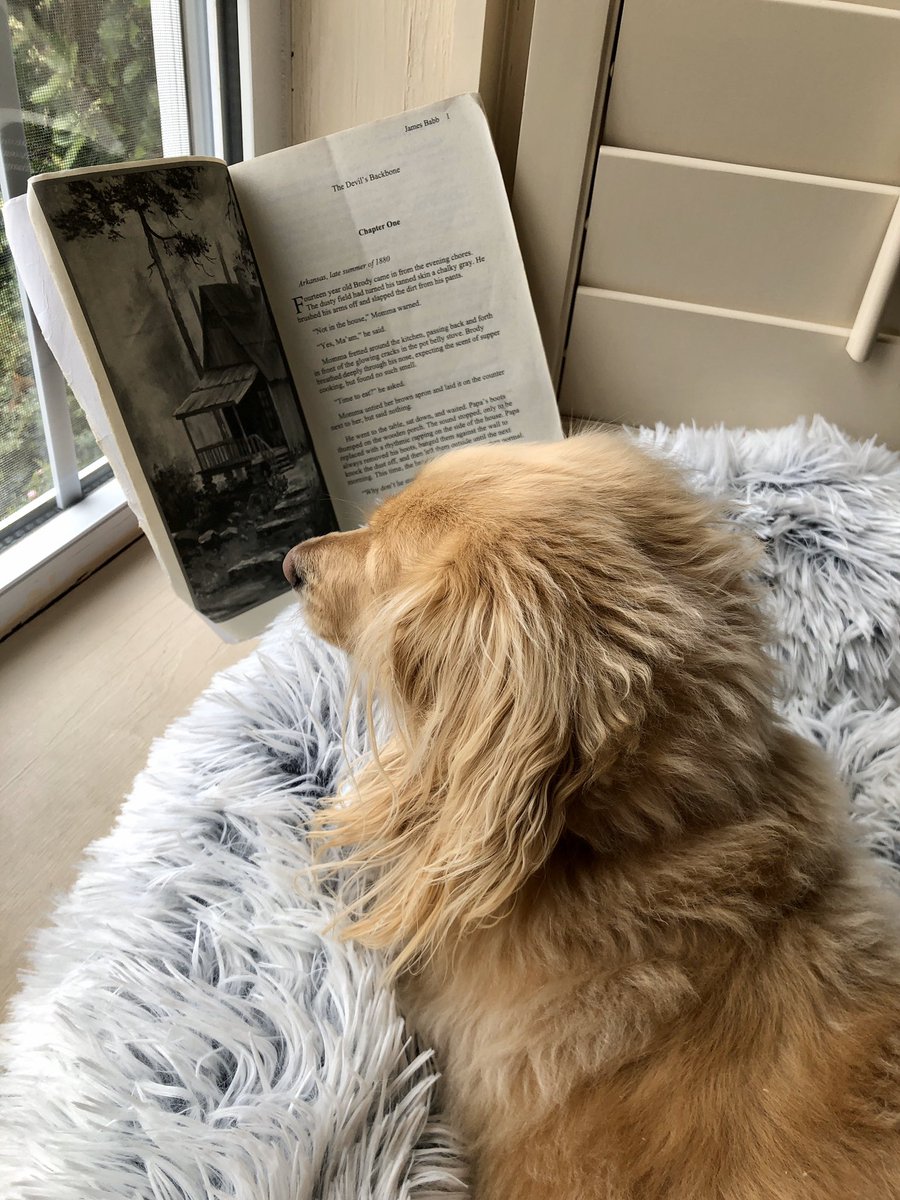 Pinkston Students...Paisly Dog says to check your email to hear Ms. Czeschin’s read aloud of “The Devil’s Backbone” by James Babb <a href="/Uonlygetone/">James Babb</a> for some AMI reading time! It’s action packed adventure! #booksareforreadingnoteating <a href="/Dr_JakeLong/">Jake Long</a> <a href="/PinkstonMiddle/">Pinkston Middle</a> @jenniferlseaman