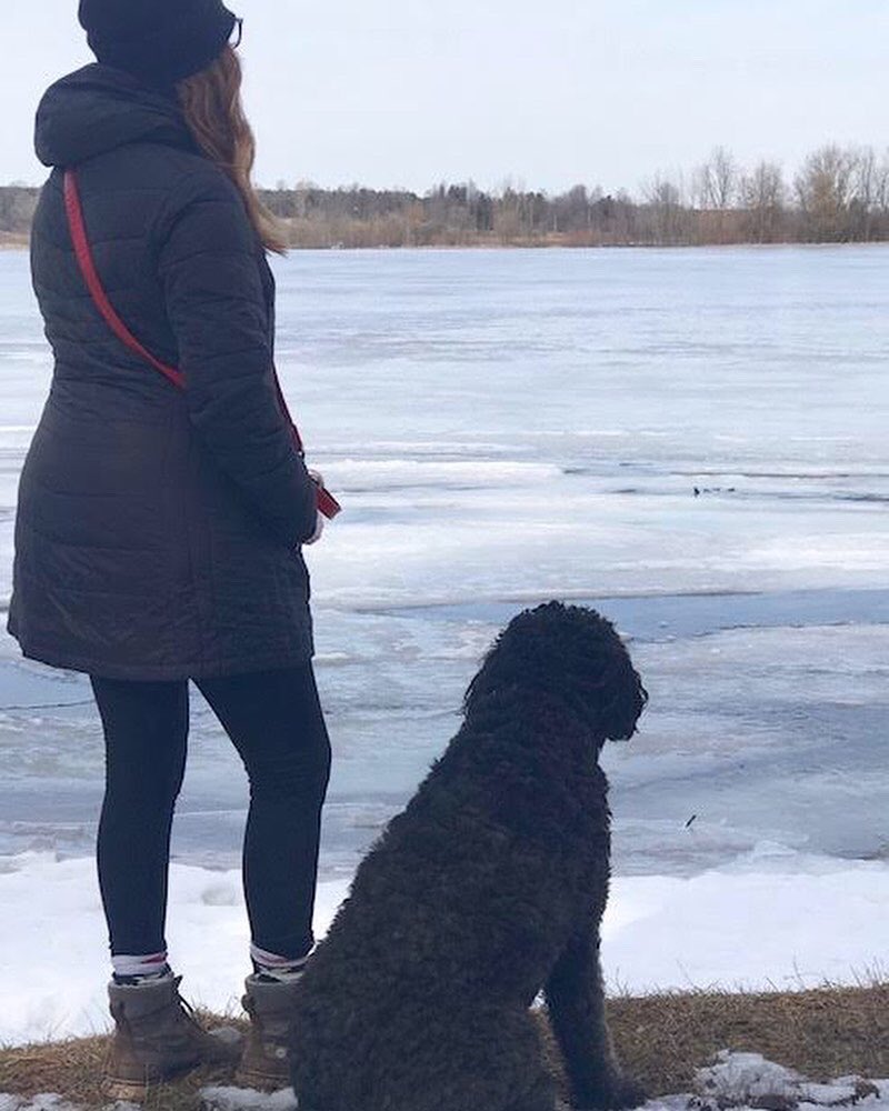 uprunningguelph's tweet image. Michelle from our Up and Running community took in some fresh air while enjoying a beautiful #SoloButSocial lakeside walk with her daughter and their dog yesterday⁣!
⁣
#TakingStepsTogether #ApartButTogether