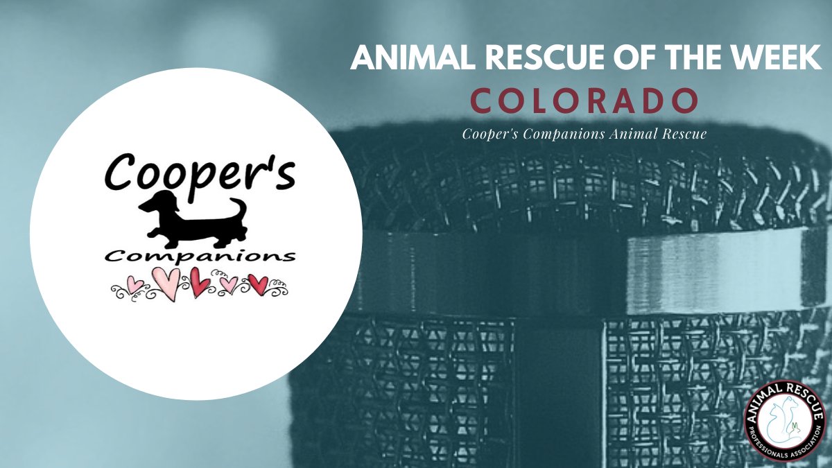 ARPA_Group's tweet photo. Cooper’s Companions Animal Rescue is a foster-based rescue located in Southern Colorado. Cooper’s takes in owner surrenders as well as working with high kill shelters. All dogs are spayed/ neutered, micro chipped and have age-appropriate vaccinations. https://t.co/5f0V0FqfxT https://t.co/tvHj4LA4sb