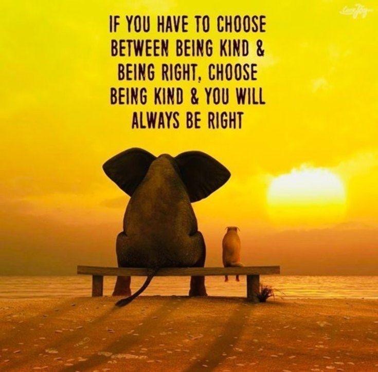 If you have to choose between being kind and being right, choose being kind, and you will always be right. <3