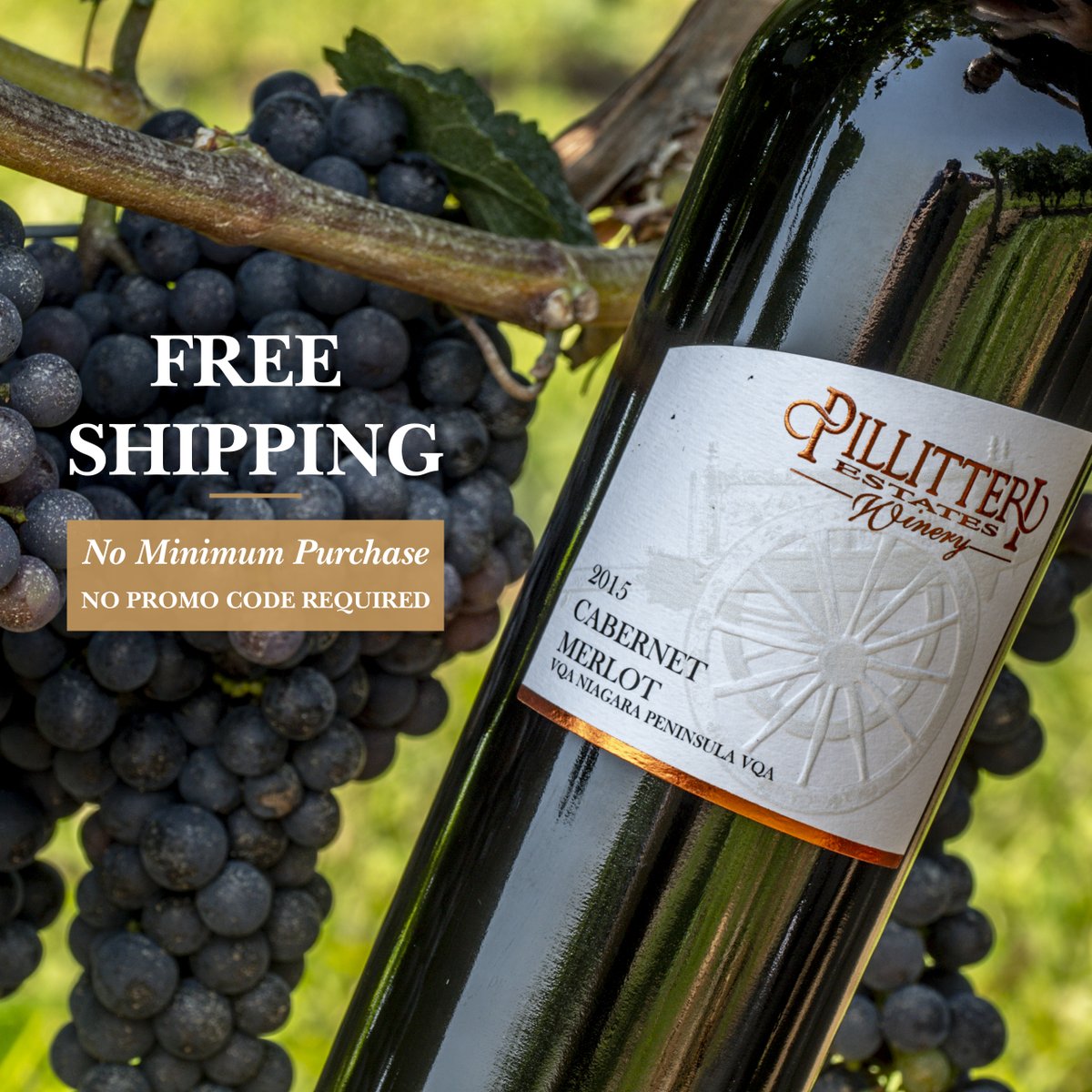 Our community is our family and we need to support each other during this time. Receive complimentary shipping on all online wine orders. No minimum purchase and no code required. #PillitteriFamily #SupportLocal #VQA #OntarioWines