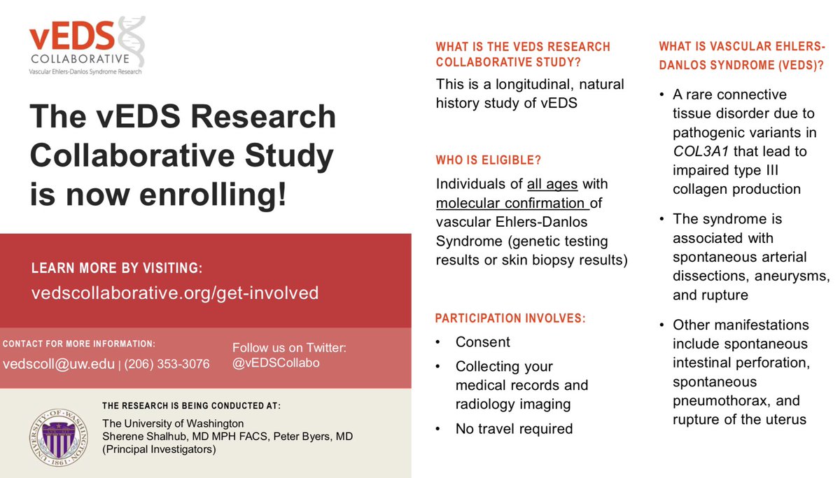 EDS Today tweet media