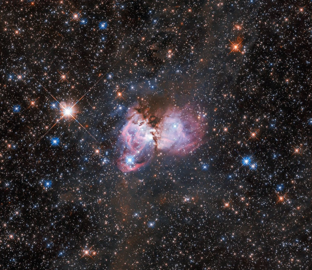 NASAHubble's tweet photo. This scene of stellar creation, captured by Hubble, sits near the outskirts of the Tarantula Nebula. This cloud of gas and dust, as well as the many young and massive stars surrounding it, is the perfect laboratory to study the origin of massive stars: https://t.co/VhOiusmZBB https://t.co/7lovUOGrPD