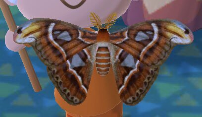 久々にどうぶつの森にログインしたら、ヨナグニサンがいて驚いた。蛾と