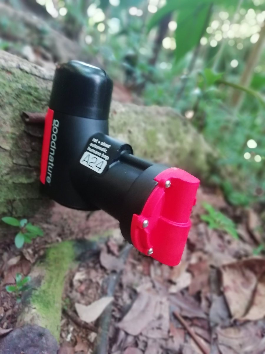 Aurelie Hector tweet media