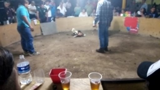 mikerios2415's tweet photo. Mi gusto es y mi trabajo se demuestra a veces se pierde y otras se gana más nunca vamos con miedo https://t.co/JirzETMH8q
