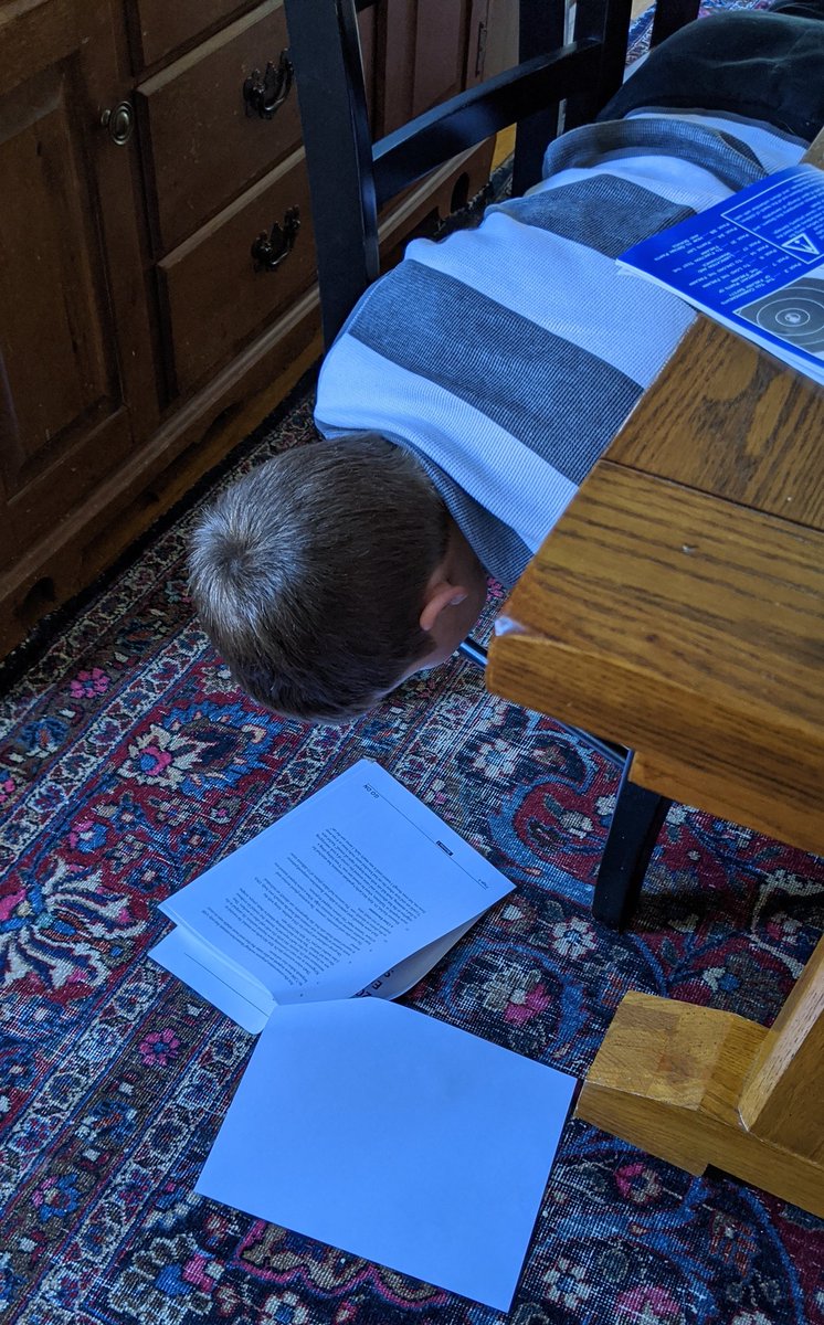 Rachel Dobbs tweet media