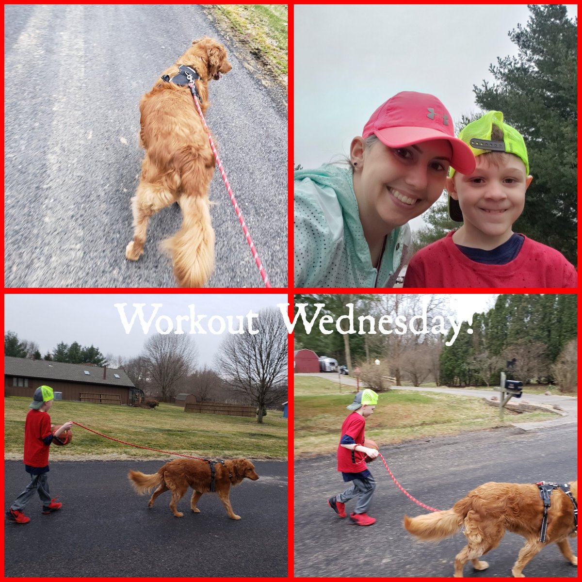 aneks416's tweet photo. Workout Wednesday!  #rollsc #scelearns #ILschoolsstepup https://t.co/gzg26wHete
