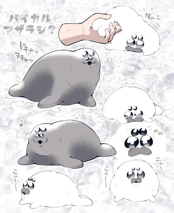 アザラシくんアチャチャンもオトナもそれぞれおめめが4つみたいでカワイイね 