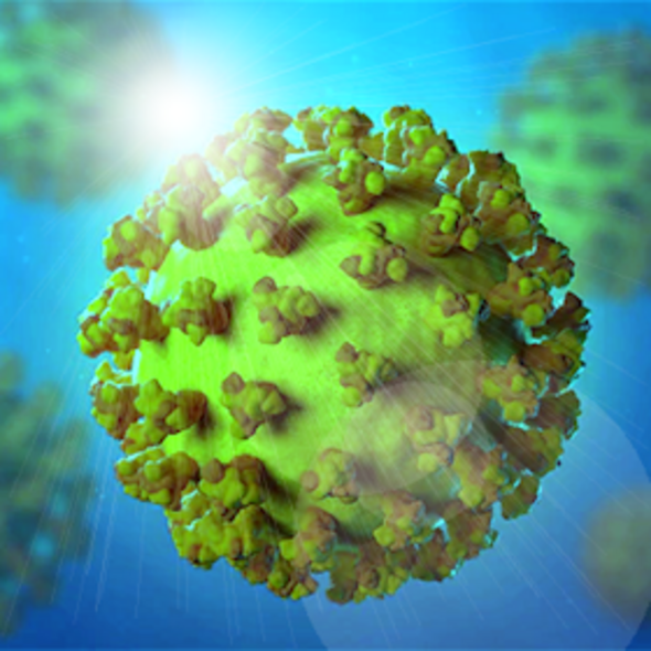spierziekten's tweet photo. De vragen over het coronavirus en spierziekten blijven binnenstromen. Daarom hebben we voor u de belangrijkste punten nog eens op een rijtje gezet. https://t.co/UZSSFxHnOC https://t.co/br5sYAoPPr