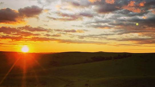 FarmBureau's tweet photo. America's farmers &amp; ranchers are rising to the call during these challenging times.

"Let us each face this day with a heart to serve our neighbors, with endurance to finish the day’s work, and with courage to get up and do it again tomorrow."—@ZippyDuvall https://t.co/c6pZ14i3ql https://t.co/MxVPPwyZPY