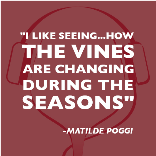 itawinepodcast's tweet photo. 🍓Matilde Poggi of @VignaioliFIVI has given so much to support local, independent wine growers. 🎧Listen as she teaches @MontyWaldin dialect: https://t.co/pUrca3CRpy
🎙Part 1: #italianwinepodcast interview
👨🏻🔬Part 2: #everybodyneedsabitofscienza (23:30)
#italy #wine #lefraghe https://t.co/4T52Z2knVz