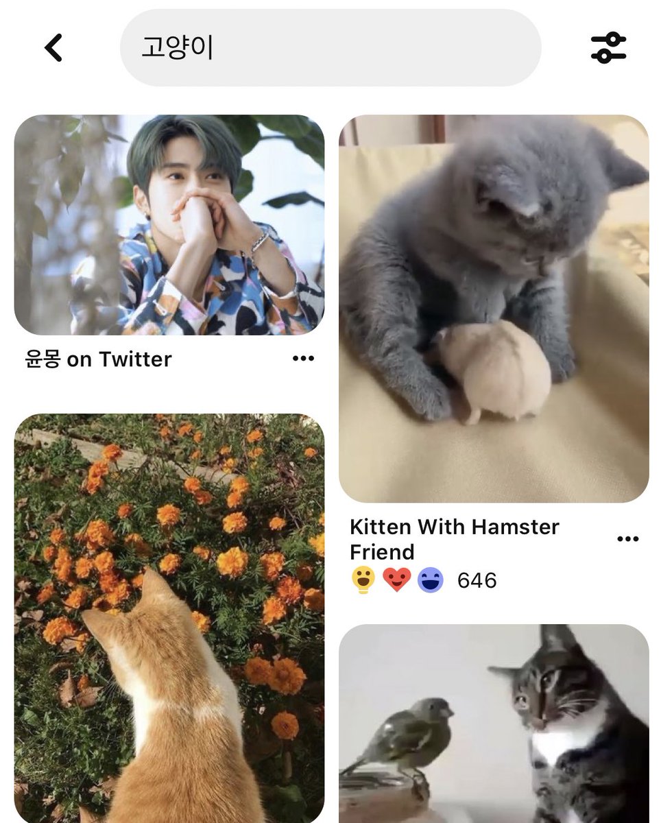 奶茶 tweet media