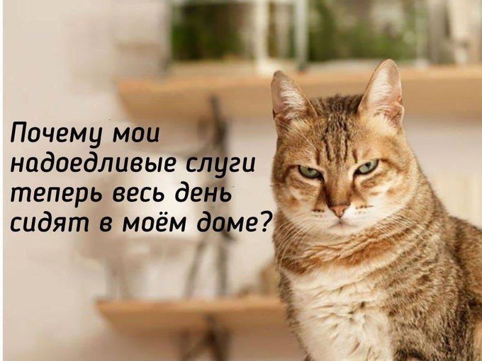 На следующей неделе Киев получит 100 тыс. медицинских масок, - Кличко - Цензор.НЕТ 4875