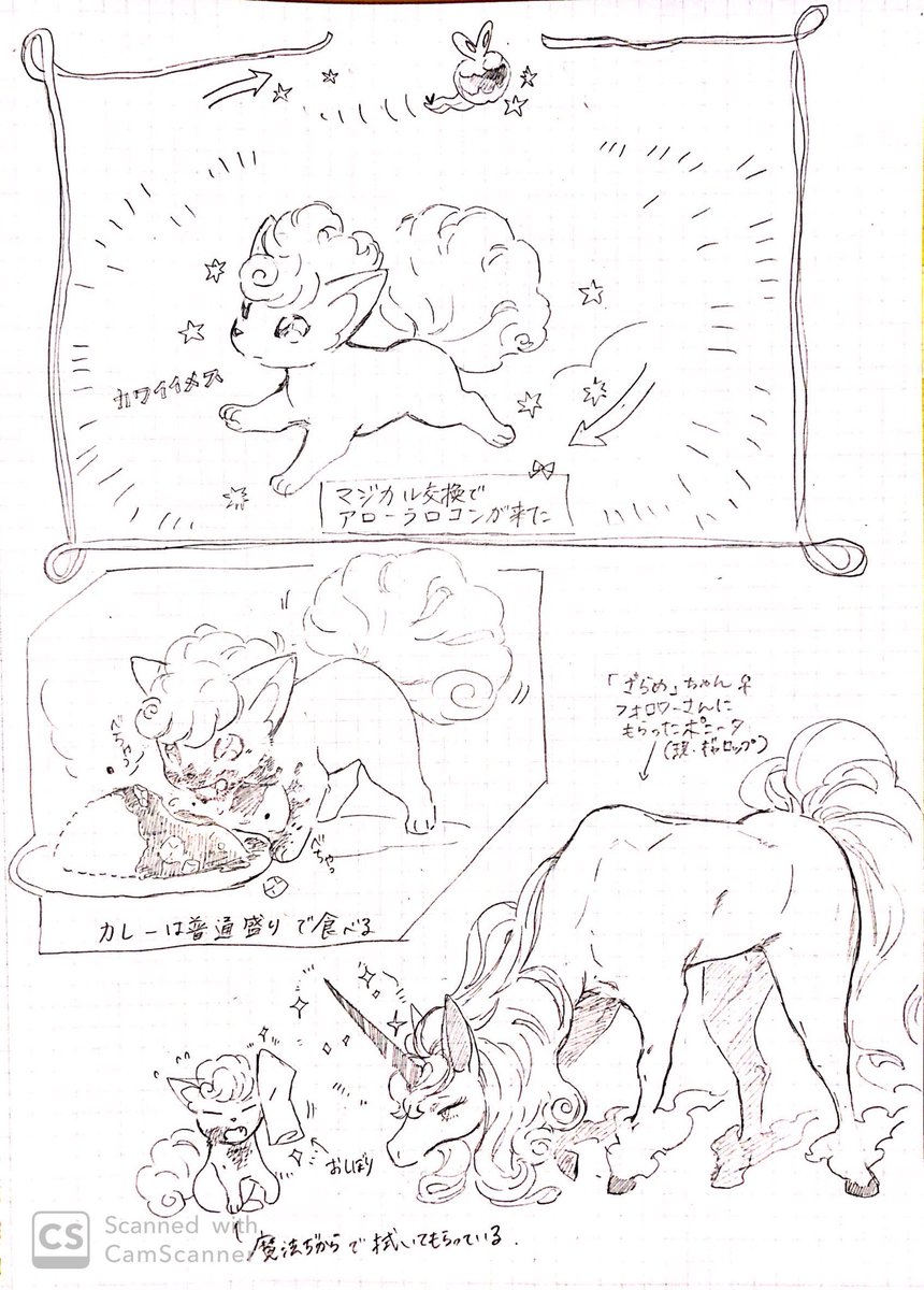 アローラロコンが来た 