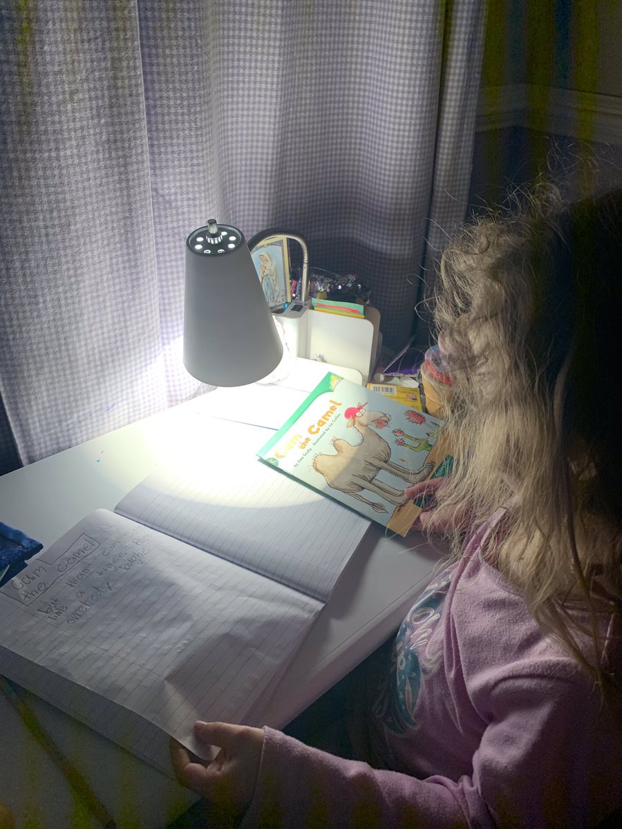 ATeachMoore's tweet image. A parent shared this photo of one of my awesome readers reading and responding in a home response journal. ❤️@dentonisd @eprayzorelem  @One_and_Ready #DentonISDDelivers #AlwaysLearningMoore