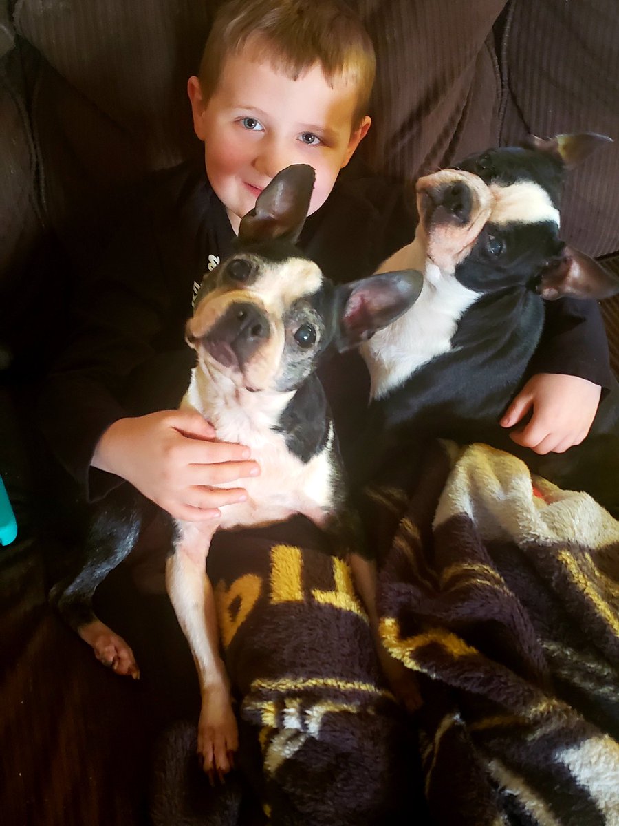 mrscameron209's tweet photo. AND look at this cutie enjoying some time with his doggies! ❤️ 🐶 https://t.co/lZ873viR0y