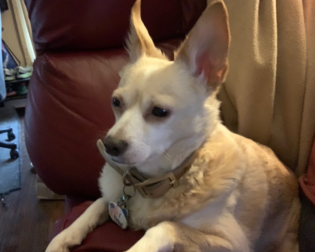 Employee of the month at my new office.