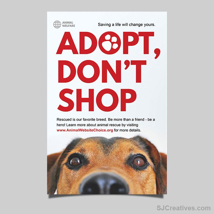 SJCreativesTeam's tweet photo. Clean and minimal animal rescue poster design. You can see more of our work here: https://t.co/qtKi2U3aLB https://t.co/53ZbgIlAOK