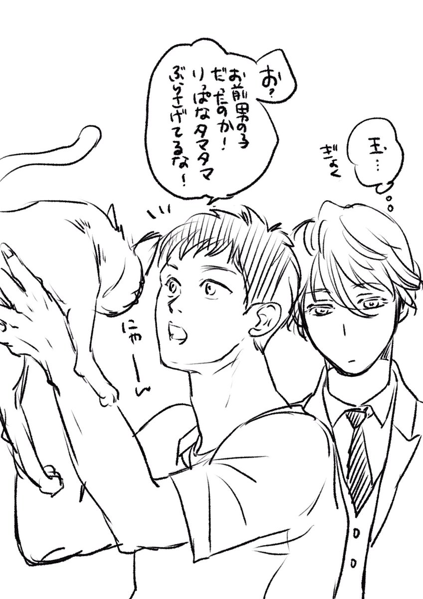 スリランカで家によく来る野良猫 