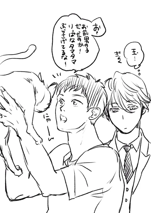 スリランカで家によく来る野良猫 