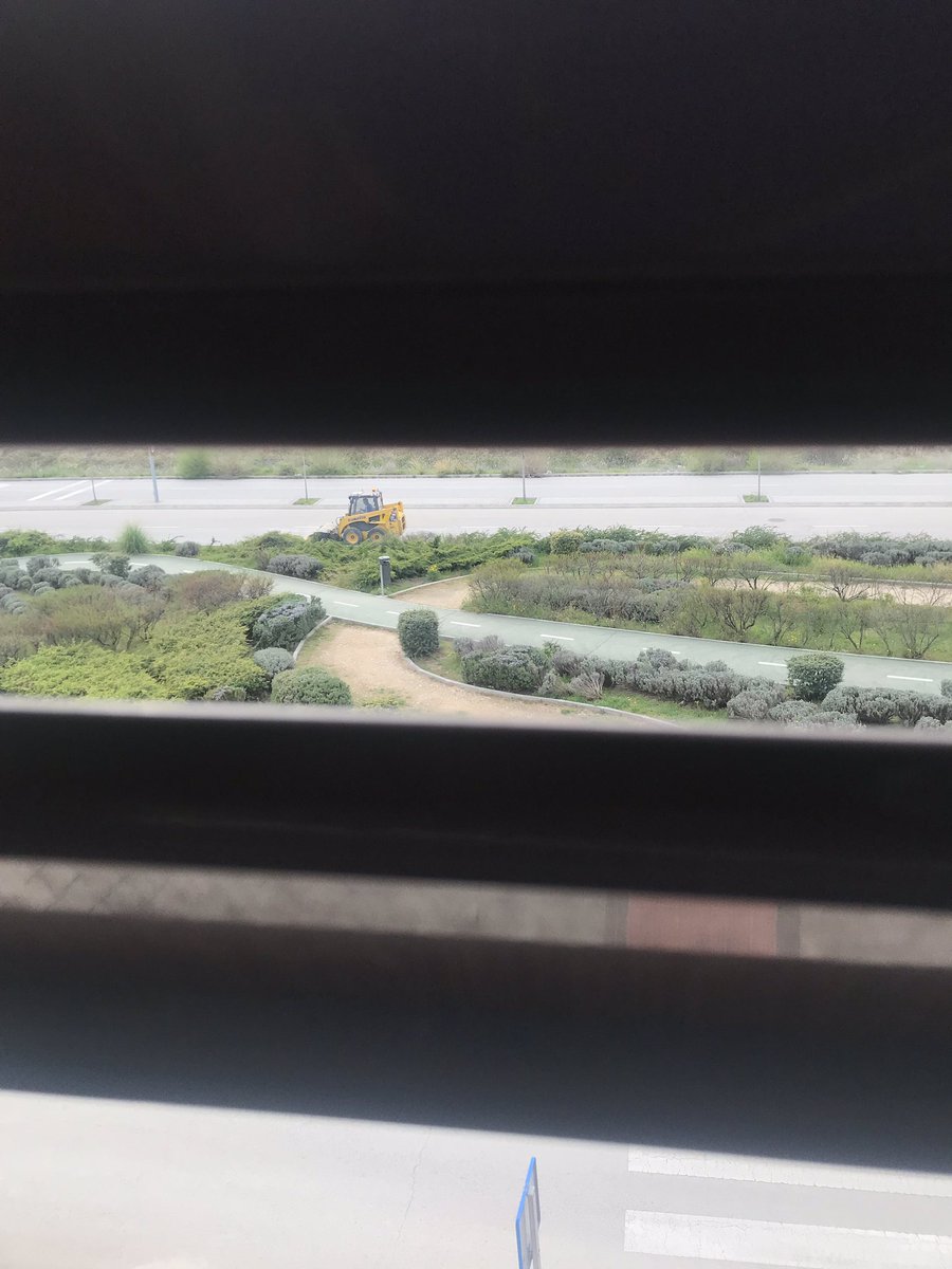 Me parece lógico que limpien el asfalto pero no que la suciedad la tire a las plantas... #rivas <a href="/RivasAlDia/">Festyk</a> <a href="/Pedro_delcura/">Pedro del Cura</a>