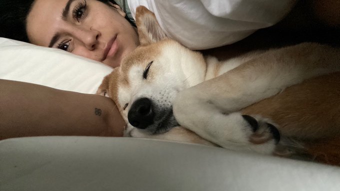 Day 1: my lashes are falling off and Dagny refuses to get up and make me coffee, we’re off to a rough