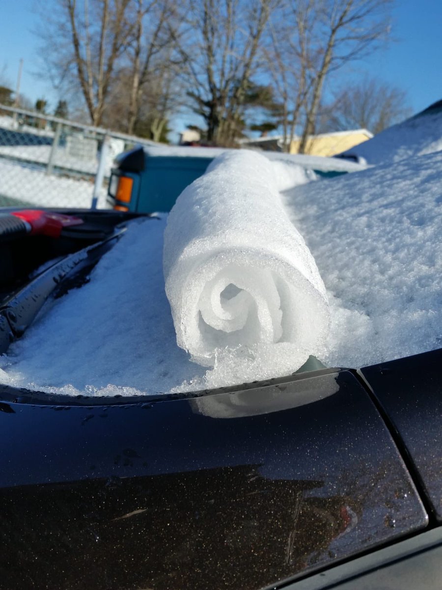 TorrieRoseS's tweet photo. @weathernetwork https://t.co/ApsHQ2KebK