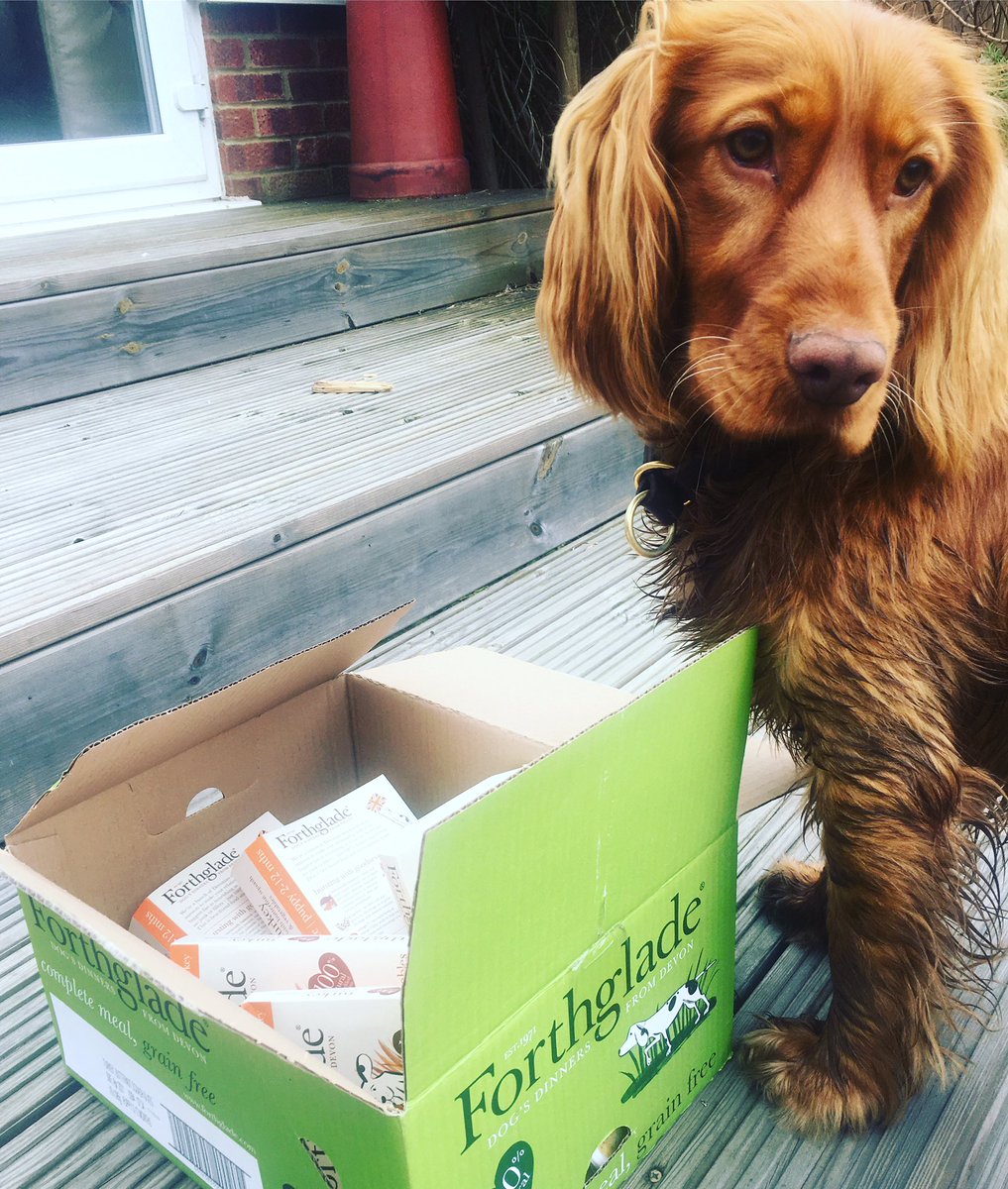 luelladevilles's tweet image. Luckily we have enough @Forthglade #forthglade to keep us going for a while 🤞🐶🥰 he loves it !!  If I put it in his kong he’s happy