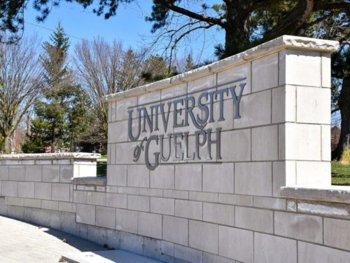 #UofG's <a href="/UofGResearch/">UofGResearch</a> has created a list of Research-related #COVID19  FAQ's. 

You can find the FAQ's and #COVID19 updates here: uoguel.ph/mx-nh.