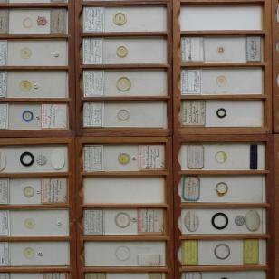 Herbarium Manchester (@aristolochia) on Twitter photo Need something to keep busy with at home? Have a go at cataloguing our microscope slides and contribute to the museum's database. Please RT zooniverse.org/projects/mzfas… #lockdown #thingstodoathome #museumsfromhome <a href="/McrMuseum/">Manchester Museum</a> Need something to keep busy with at home? Have a go at cataloguing our microscope slides and contribute to the museum's database. Please RT zooniverse.org/projects/mzfas… #lockdown #thingstodoathome #museumsfromhome <a href="/McrMuseum/">Manchester Museum</a>