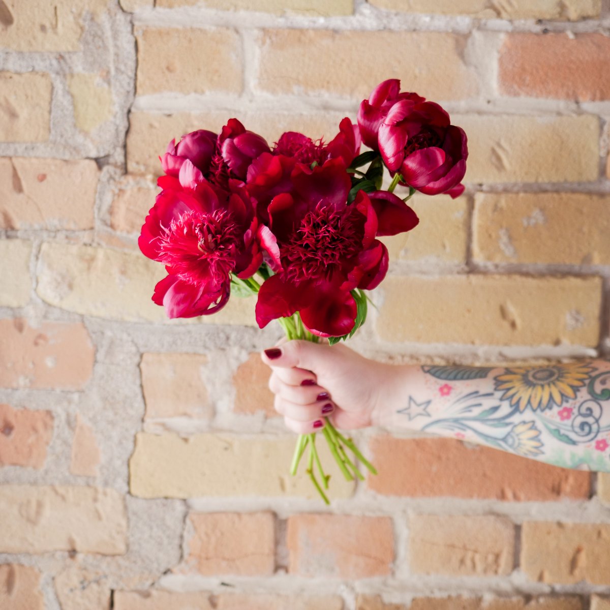 WaltonsAustin's tweet photo. We are open and we have florals for delivery + curbside pickup! Even if you can’t see your loved ones you can still send some beautiful blooms to their door to put a smile on their face 😊💐 https://t.co/gOyf2LpXqE