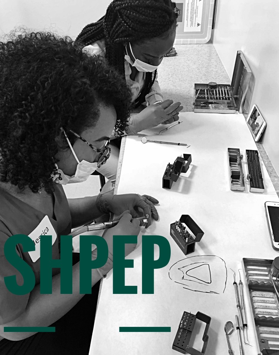 SHPEPconnect's tweet photo. Wait list applicants may see a change in their status starting today! All wait list applicants must review their application daily until their status changes. Applicants have 24 hours to confirm their offer if accepted.  #shpepconnect #shpep20 https://t.co/lELM0Jjf3T