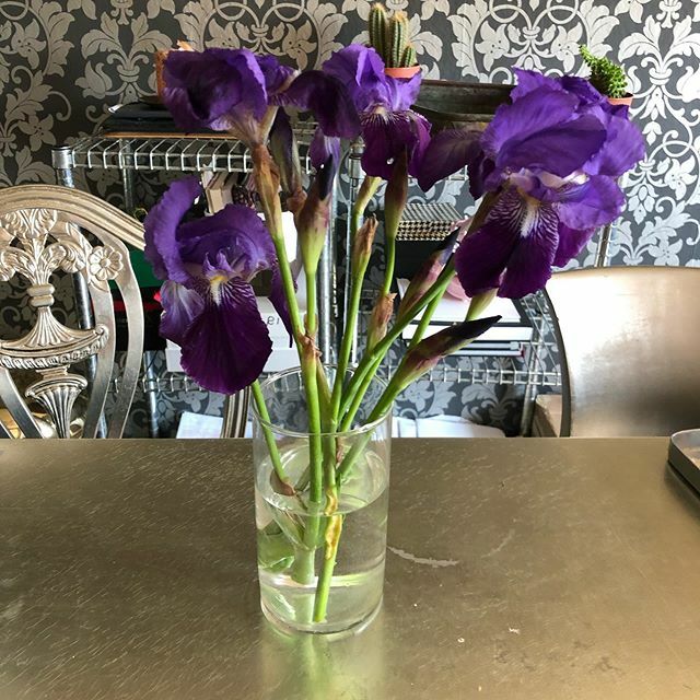 galleryfdm's tweet photo. #fioriscono gli iris# https://t.co/jQUIQoMYh0