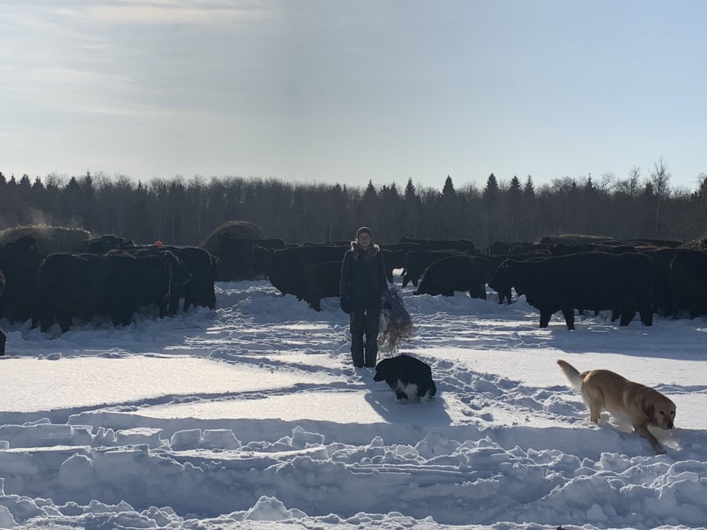 chuiko2's tweet photo. Phys Ed, science & math is the lesson for today:) #feedingcows Still a bunch of snow here. Looking forward to warmer temps hopefully coming soon. #thankfulformyfamily #childlabour #morehandslesswork https://t.co/IZ16AHhVIp
