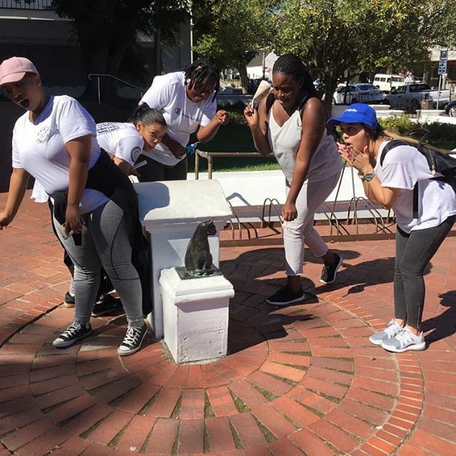 🃏 Play along, let's have some fun and caption this! .
Following on from yesterday's post and quote that was posted, I continue to stand in hope: "There are far, far better things ahead than any we leave behind" by C.S. Lewis.
.
We will get through th… ift.tt/2xGIgnN