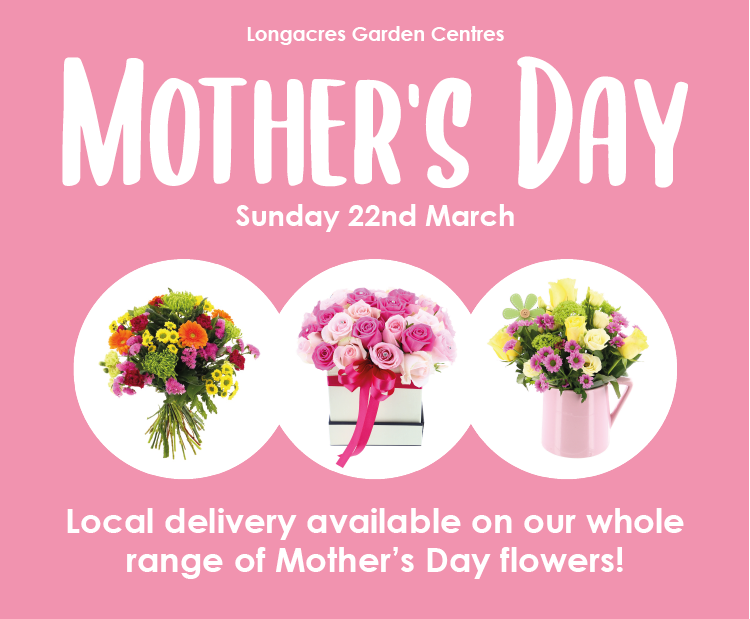 Longacres Garden Centres On Twitter You Can Order You Mother S Day Flowers For Local Delivery Online Now Longacres Mothersday Mothersday2020 Thanksmom Mymomisthebest Ilovemymom Find Our Online Here Https T Co Piwstp6jzg Https T Co