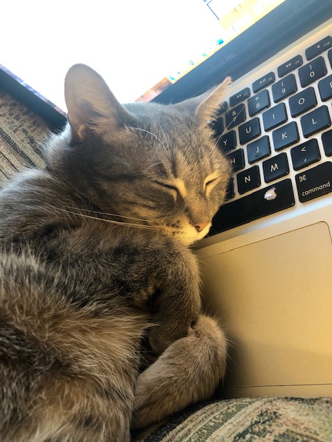 McMcQuilling's tweet photo. @GailSimone's #ComicSchool has completely exhausted Klingon. Fortunately, she managed to stay awake long enough to supervise my #ComicsFinals project.
If anyone has some more feedback, I would be honored to hear it. https://t.co/j9FTpR1u4I https://t.co/tL7L76irak