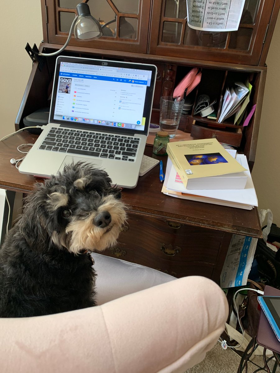 Ruthie is really impressed with the work my students have done this week. She thinks everyone should get A's. I tend to agree with her - my students rock!