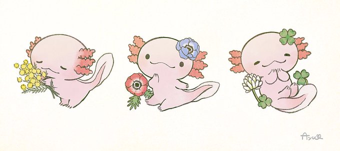 「クローバー 花」のTwitter画像/イラスト(古い順)