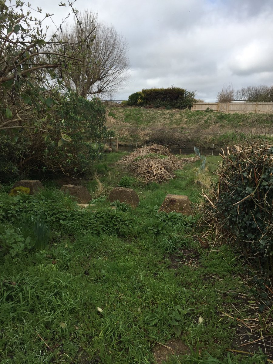 Every home should have a set of Dragons Teeth (WW II tank traps) in the back garden!