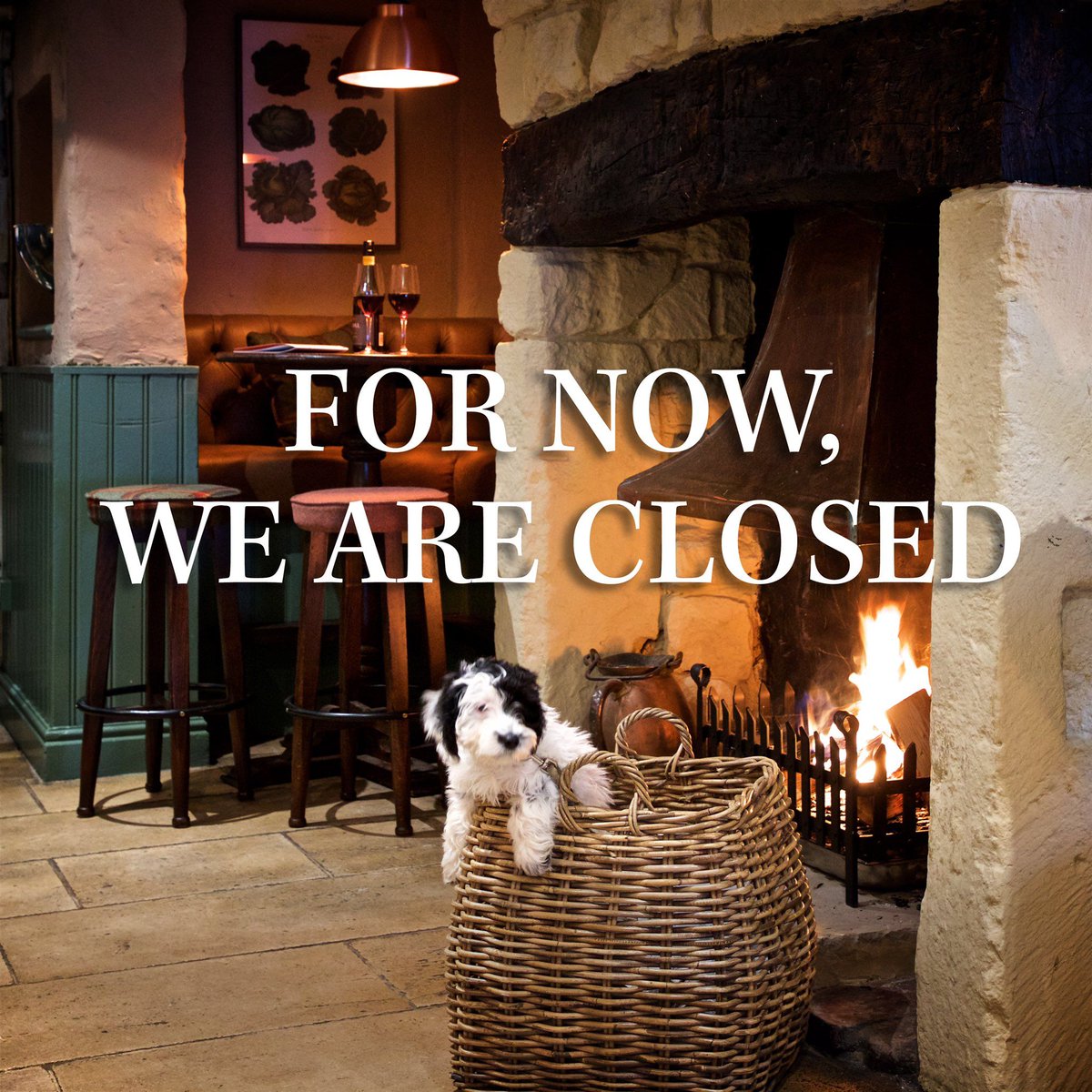 VictoriaOxshott's tweet photo. It is with great sadness that we let you know we are closed until further notice. Apologies to all that had bookings with us, especially those looking forward to celebrating Mother's Day at The Victoria. We would like to thank you for your loyalty and wish you well. Stay safe https://t.co/iRHoDKnvjg