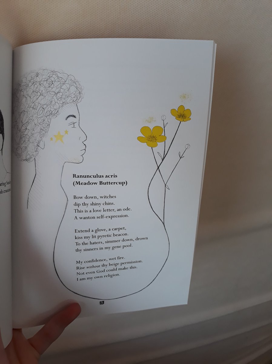 fly_press's tweet image. Proofs for House of Weeds by @keano81 and @jackwallington  looking absolutely gorgeous!

Out in May:

flyonthewallpoetry.co.uk/product-page/h…