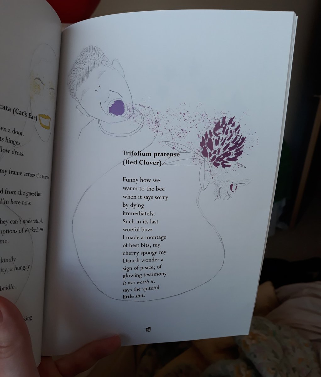 fly_press's tweet image. Proofs for House of Weeds by @keano81 and @jackwallington  looking absolutely gorgeous!

Out in May:

flyonthewallpoetry.co.uk/product-page/h…