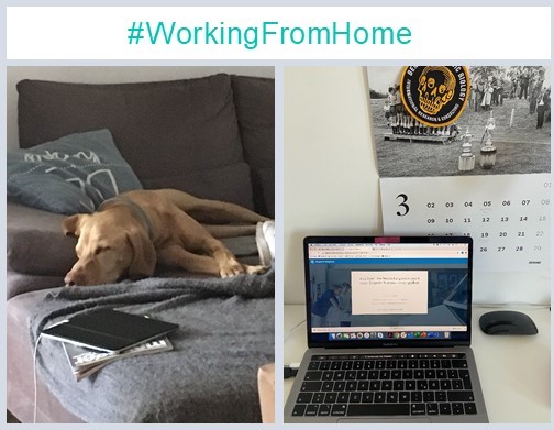 LaifeReply's tweet photo. At LAIFE Reply, we want to contribute with preventing the spread of the Covid-19. So we are joining the #workfromhome challenge and this is how it looks like for us! Let's all help #flattenthecurve! Want to join us? Send us your pictures of how #homeoffice looks like for you :) https://t.co/qaqD6kOjFz
